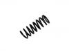 Fahrwerksfeder Coil Spring:140 324 16 04