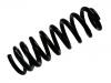 Muelle de chasis Coil Spring:164 324 03 04