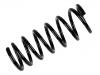 Muelle de chasis Coil Spring:55020-2F016