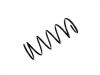 Fahrwerksfeder Coil Spring:54010-0M002