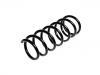 Coil Spring:55020-0M013