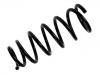 Muelle de chasis Coil Spring:55020-AV600