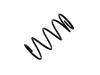 Coil Spring:20382-AC060