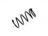 Fahrwerksfeder Coil Spring:20384-AC080