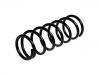 Muelle de chasis Coil Spring:41311-81A40