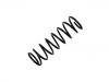 Muelle de chasis Coil Spring:1957725