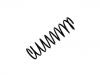 Fahrwerksfeder Coil Spring:9140681-9