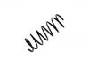 Muelle de chasis Coil Spring:31 33 1 136 046