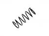 Muelle de chasis Coil Spring:54630-23101
