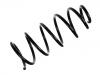 Muelle de chasis Coil Spring:1H0 411 105 E