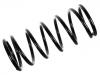 Coil Spring:6U0 411 105 H