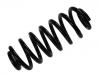 Fahrwerksfeder Coil Spring:33 53 1 096 302