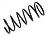 Fahrwerksfeder Coil Spring:5002.71