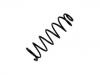 венцивидная пружина Coil Spring:5102.F7
