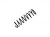 венцивидная пружина Coil Spring:V98FB 5560 AA