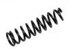 Muelle de chasis Coil Spring:51401-S10-A22