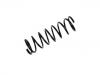 Ressort hélicoidal Coil Spring:55020-7F000