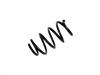 Ressort hélicoidal Coil Spring:44 08 960