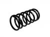 Ressort hélicoidal Coil Spring:44 02 008