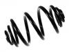 Ressort hélicoidal Coil Spring:424 392