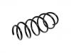 Muelle de chasis Coil Spring:312 262