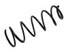 венцивидная пружина Coil Spring:5002.V3