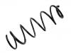 венцивидная пружина Coil Spring:5002.V4