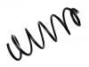 圈状弹簧 Coil Spring:5002.V8