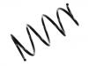 圈状弹簧 Coil Spring:77 00 434 173