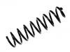 Muelle de chasis Coil Spring:82 00 357 085