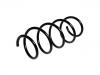 Muelle de chasis Coil Spring:82 00 106 139