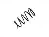 Muelle de chasis Coil Spring:REB000162EVA
