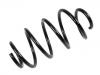 Muelle de chasis Coil Spring:1K0 411 105 DC