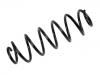 Coil Spring:1J0 511 115 AQ