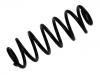 Muelle de chasis Coil Spring:8P0 511 115 P