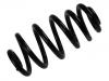 Coil Spring:8E0 511 115 DA