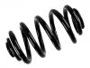 Fahrwerksfeder Coil Spring:33 53 3 413 079