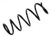 Muelle de chasis Coil Spring:51812161