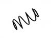 Fahrwerksfeder Coil Spring:54010-JG20C