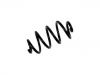 Muelle de chasis Coil Spring:55020-JG10A