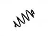 Muelle de chasis Coil Spring:55020-JG20A