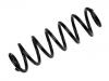 Muelle de chasis Coil Spring:1K0 511 115 BG