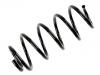 Muelle de chasis Coil Spring:1K0 411 105 DL