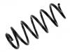 Muelle de chasis Coil Spring:1K0 411 105 EF
