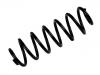 Muelle de chasis Coil Spring:1K0 511 115 BH