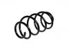 Muelle de chasis Coil Spring:1K0 411 105 BN