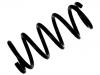 Muelle de chasis Coil Spring:52441-S5A-A62