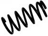 Muelle de chasis Coil Spring:41311-62B71