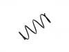 Coil Spring:54010-AX611