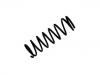 Fahrwerksfeder Coil Spring:55020-0F002